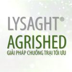 BLUESCOPE LYSAGHT AGRISHED CORPORATE VIDEO